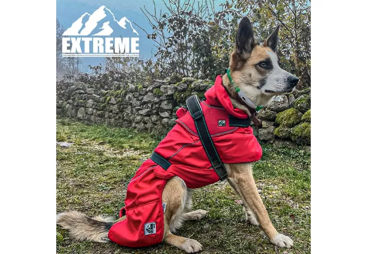 Ancol - Extreme Monsoon Dog Coat - Red - 50cm