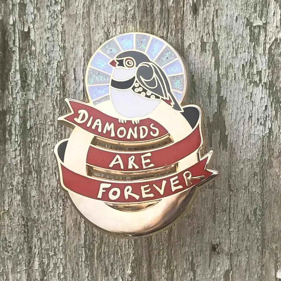 Bridget Farmer Bird Message Pins