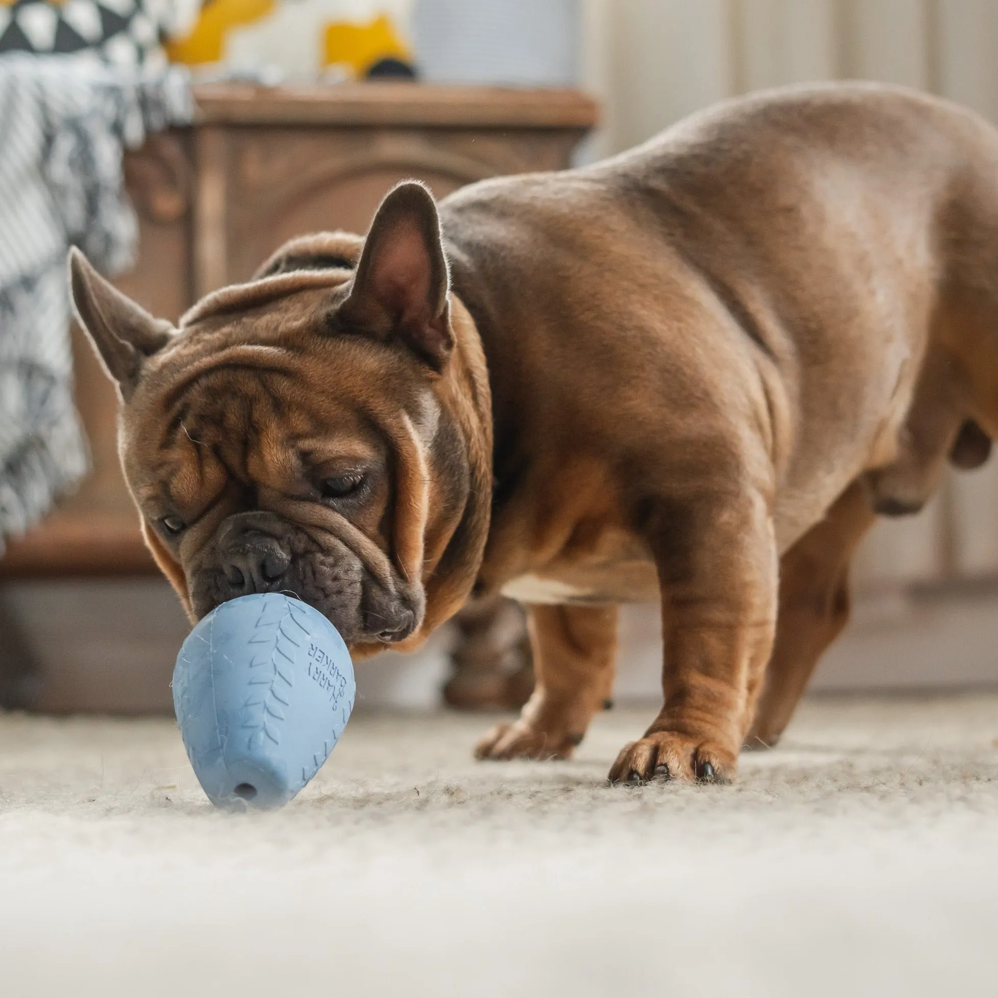 Durable Rubber Treater Toy