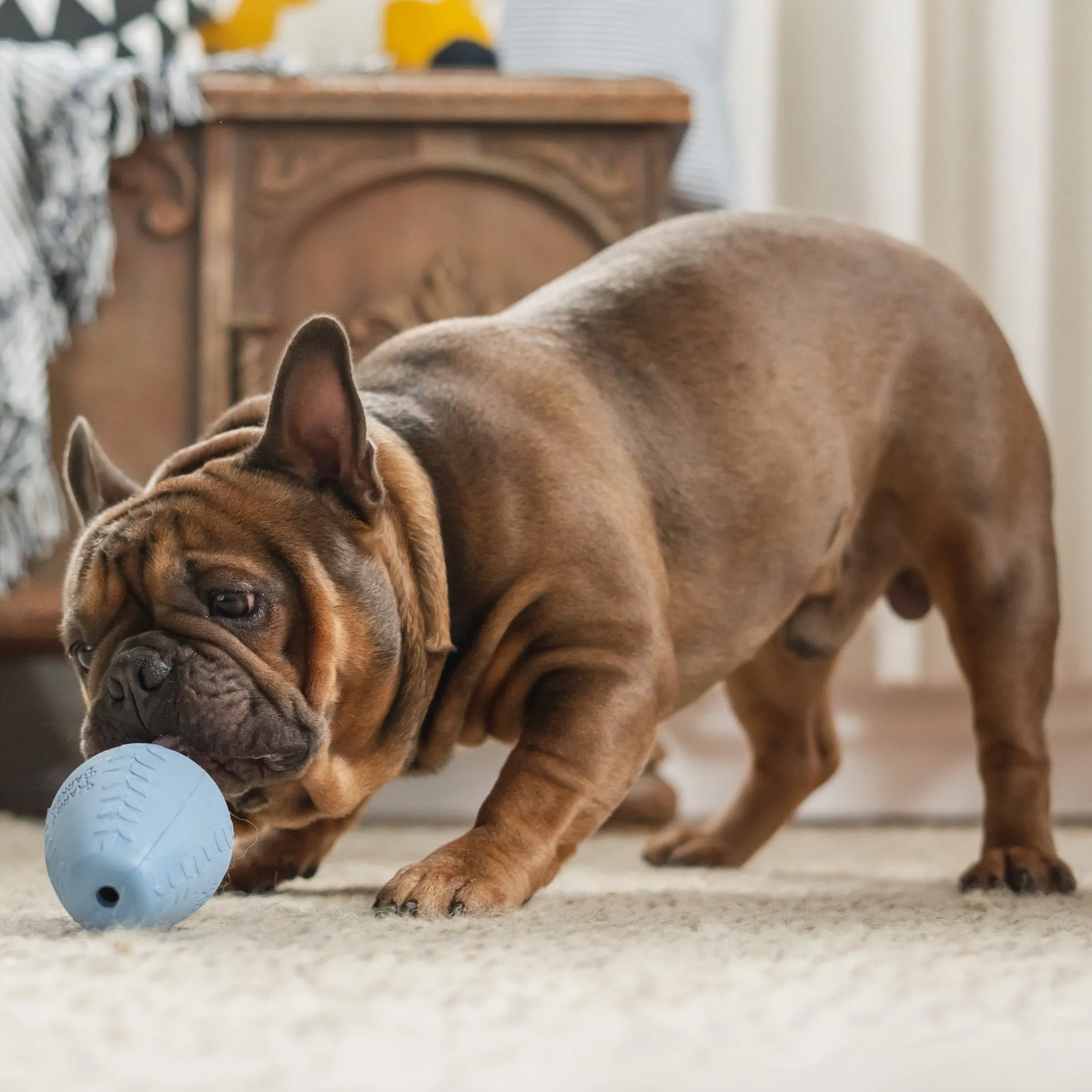 Durable Rubber Treater Toy